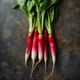Radish