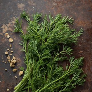 Getrockneter Dill