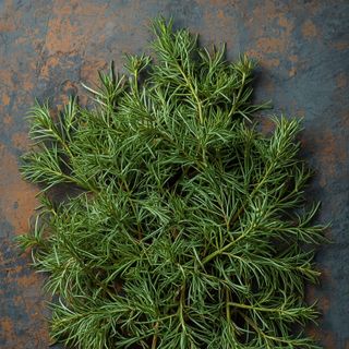Dried Dill