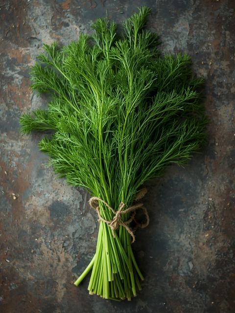 Garden Dill