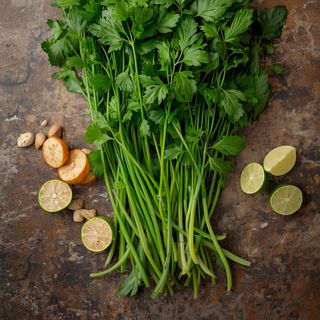 Garden Cress