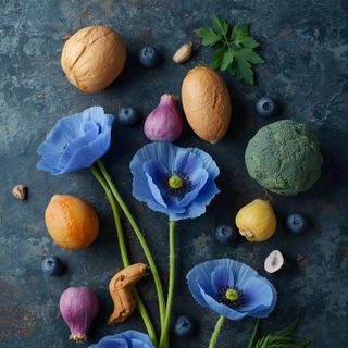 Blue Poppy