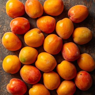 Apricots