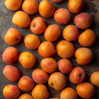 Apricots