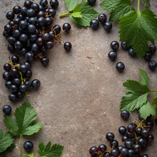 Blackcurrants