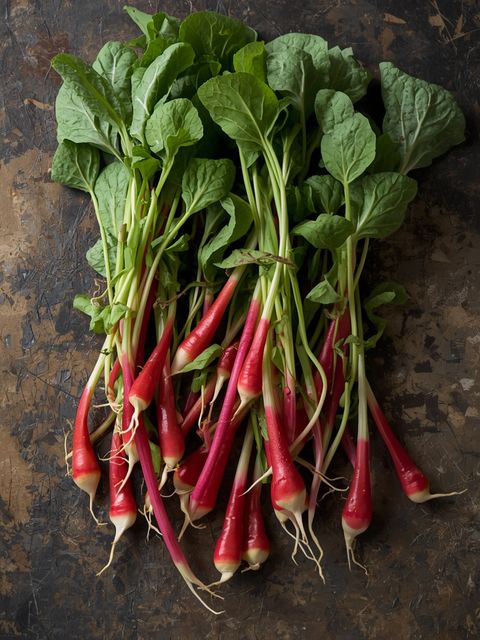 Radish Sprouts
