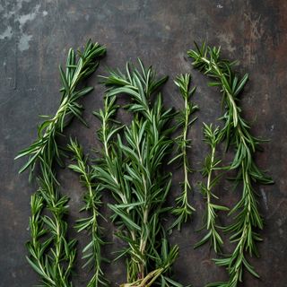 Fresh Rosemary