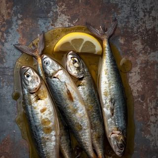 Sardines in Oil