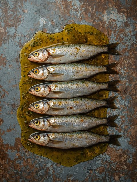Sardines in Oil