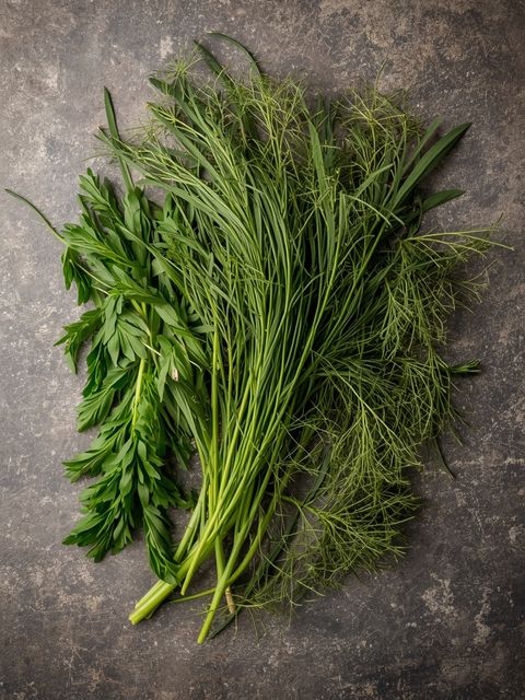 Frischer oder getrockneter Dill