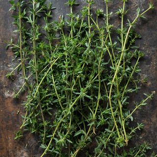 Fresh Thyme