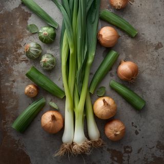 Shallot (Spring Onion)