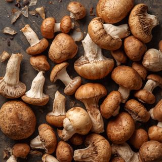 Fresh Brown Mushrooms