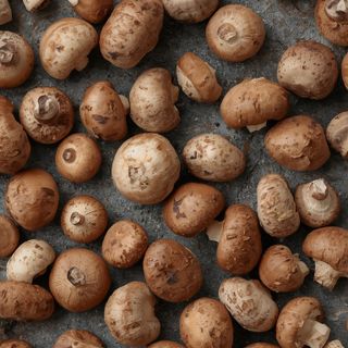 Frische Braune Champignons