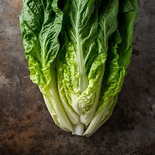 Romaine Lettuce