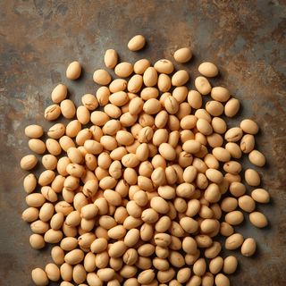 Soy Beans