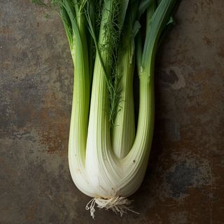 Fenkuł włoski, surowy