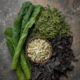 Alga, nori, suszona