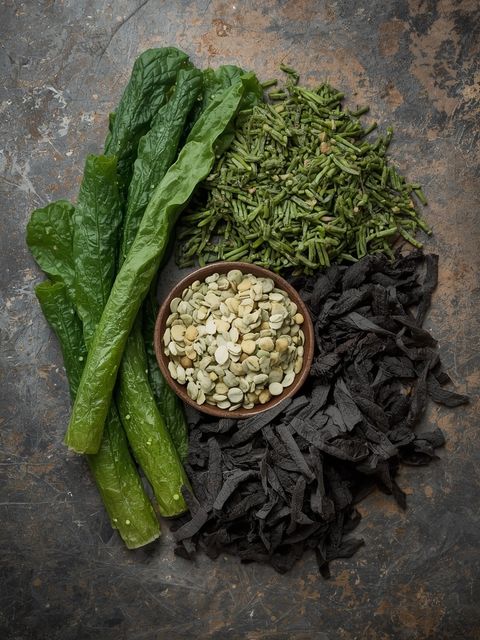 Alga, nori, suszona