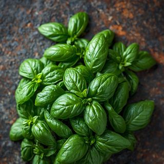 Basil, Fresh