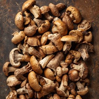 Mushrooms, dried