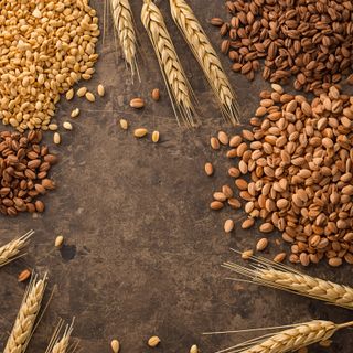 Wheat Grains