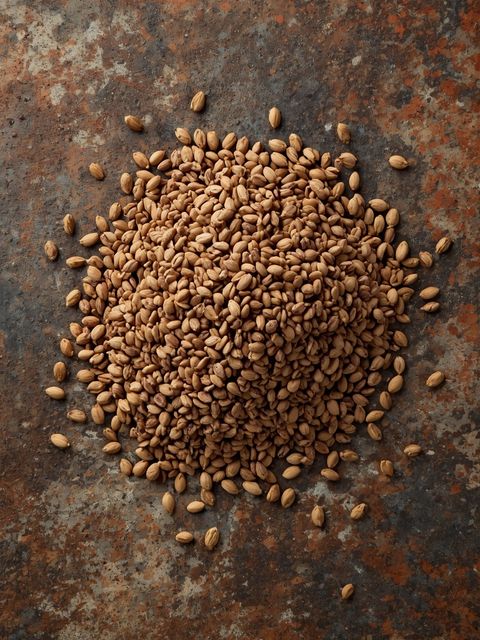 Chia seeds 2