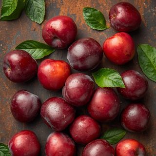 Plum, steamed, drained (no sugar added)