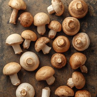 Mushrooms