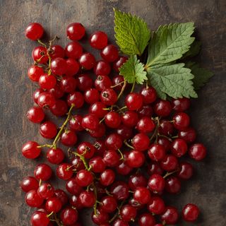Johannisbeeren, rot, roh