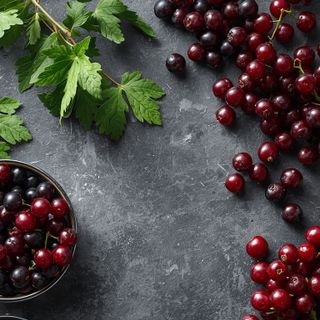 Johannisbeeren schwarz roh