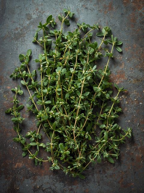 Thyme, fresh