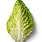 Fit-boosting salad